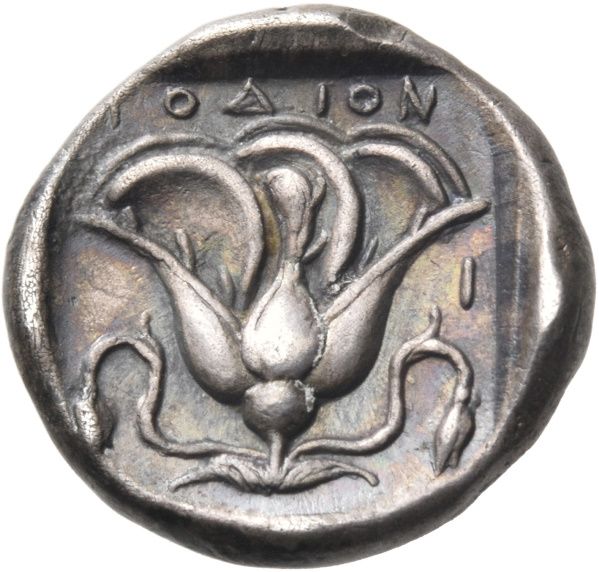 Coin reverse image