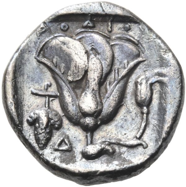 Coin reverse image