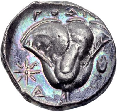 Coin reverse image