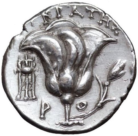 Coin reverse image