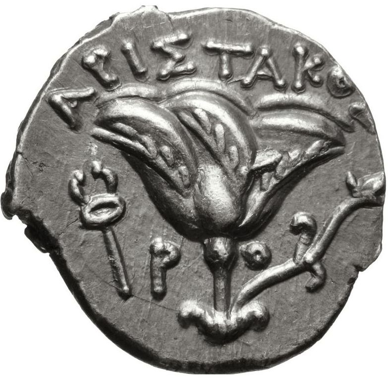 Coin reverse image