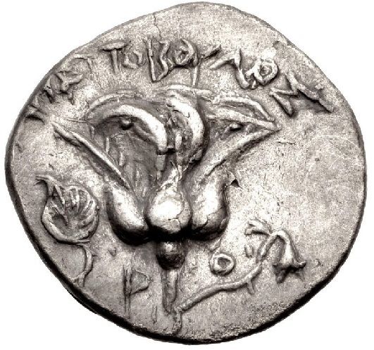 Coin reverse image