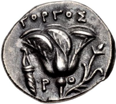 Coin reverse image