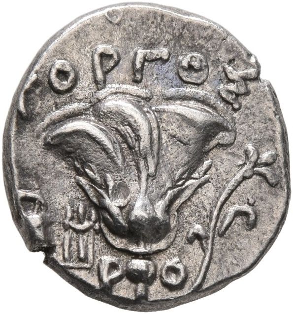 Coin reverse image