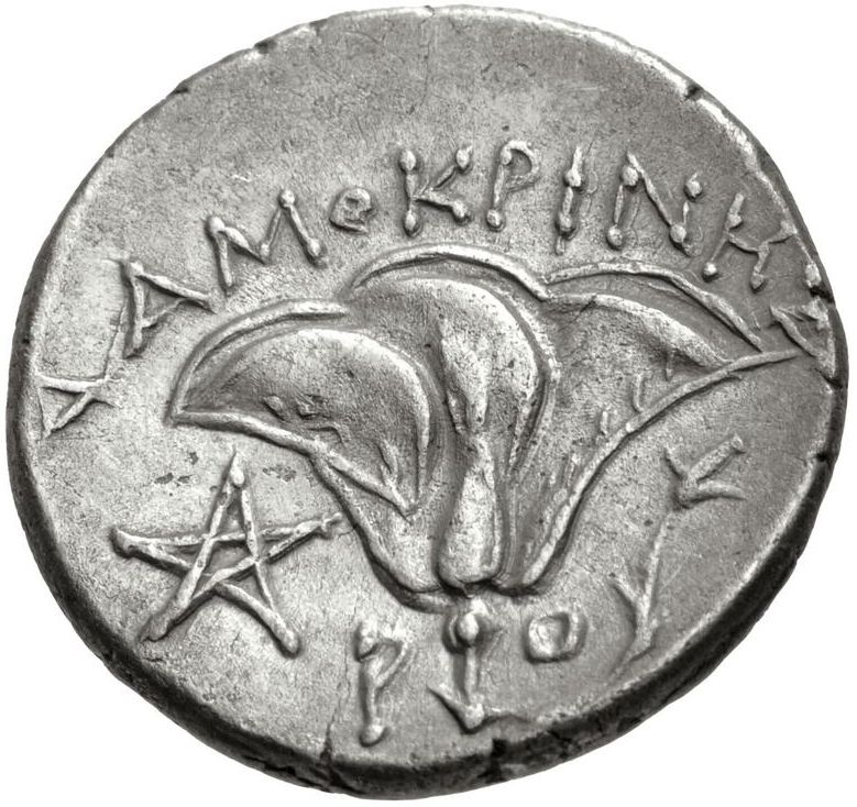 Coin reverse image