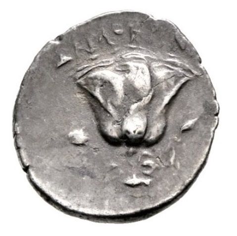 Coin reverse image