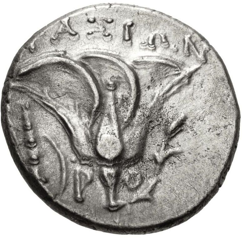 Coin reverse image