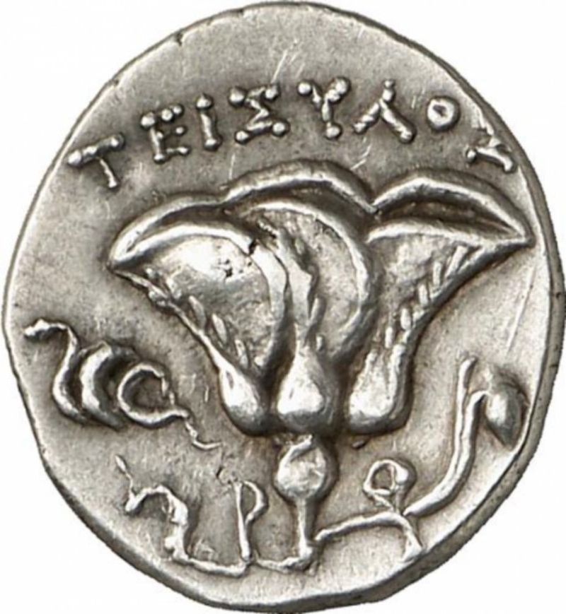 Coin reverse image