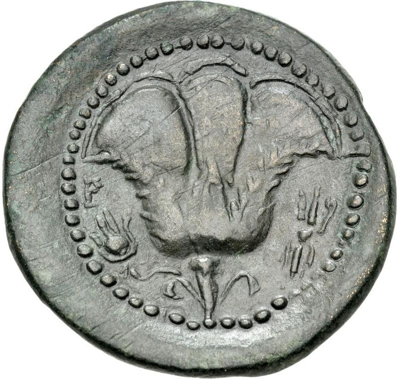 Coin reverse image