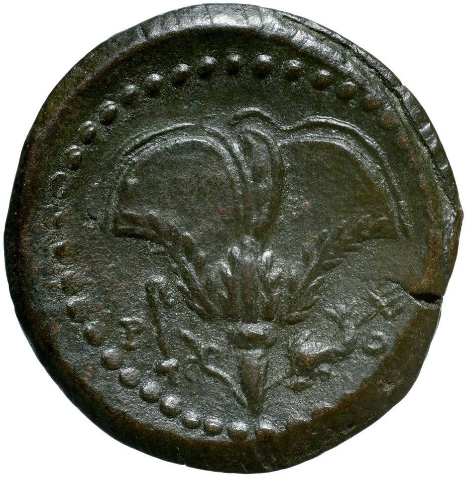 Coin reverse image
