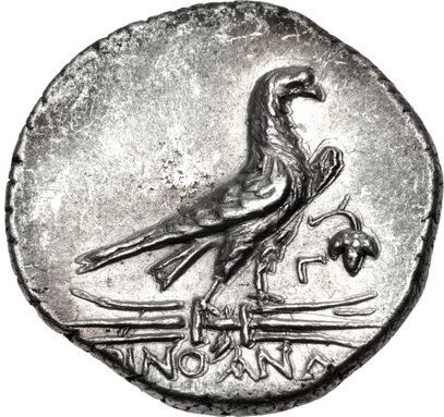Coin reverse image