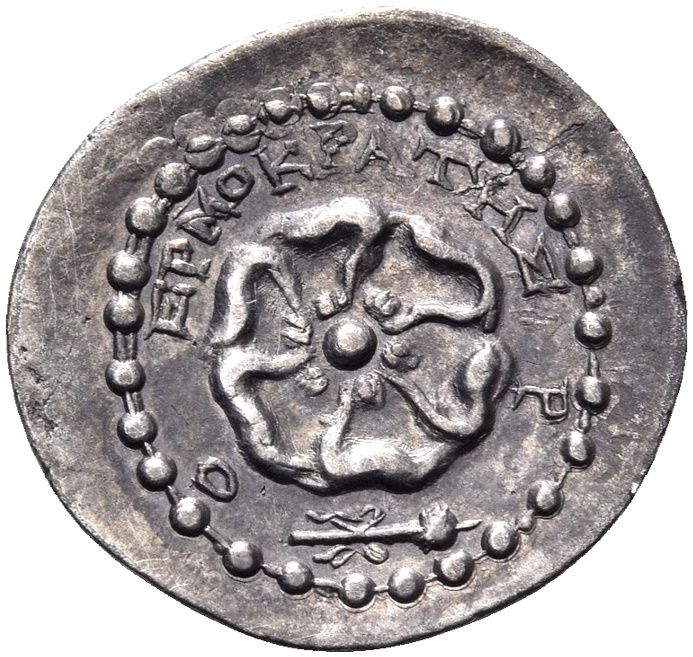 Coin reverse image