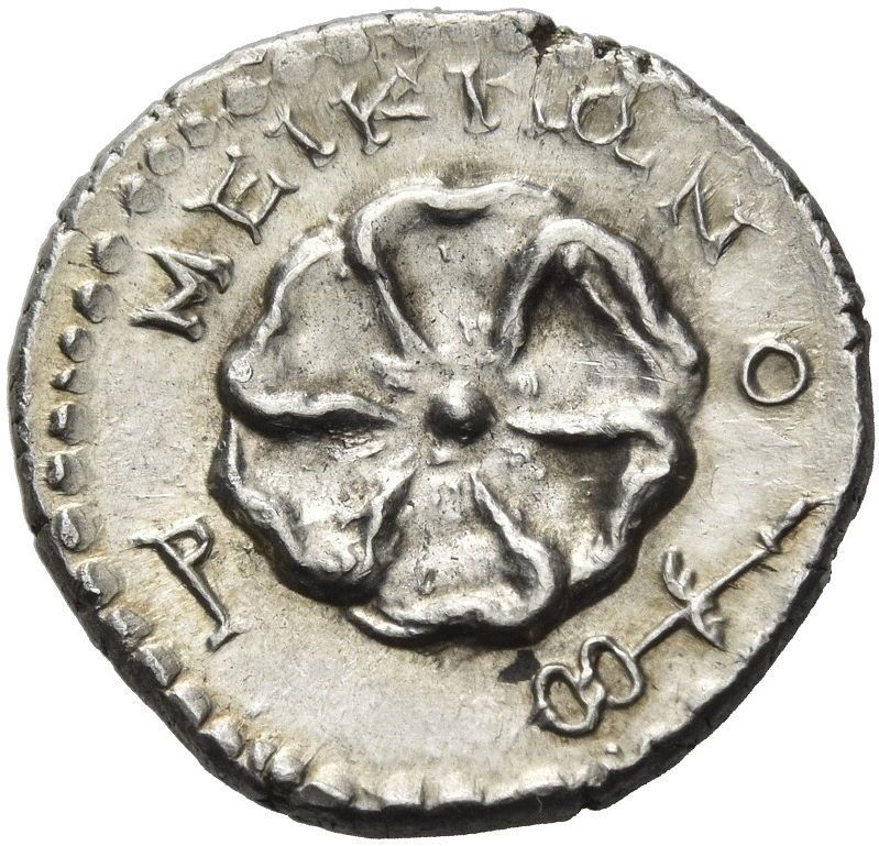 Coin reverse image