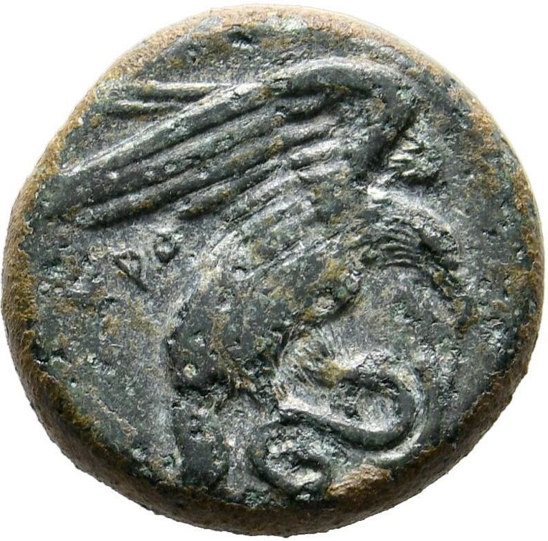 Coin reverse image