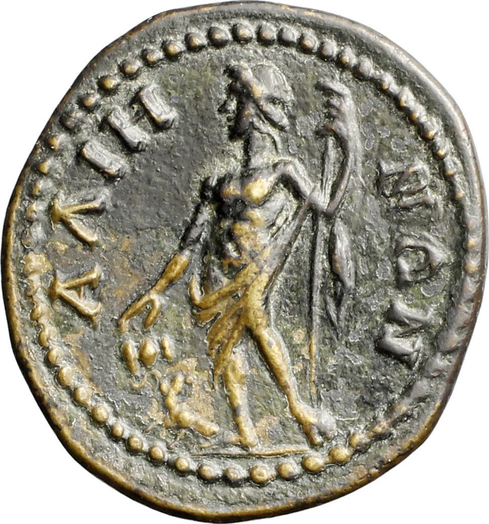 Coin reverse image
