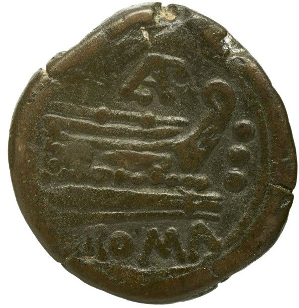 Coin reverse image