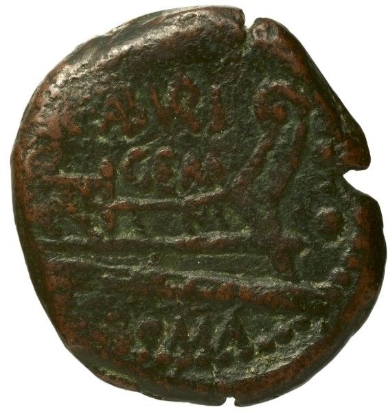 Coin reverse image