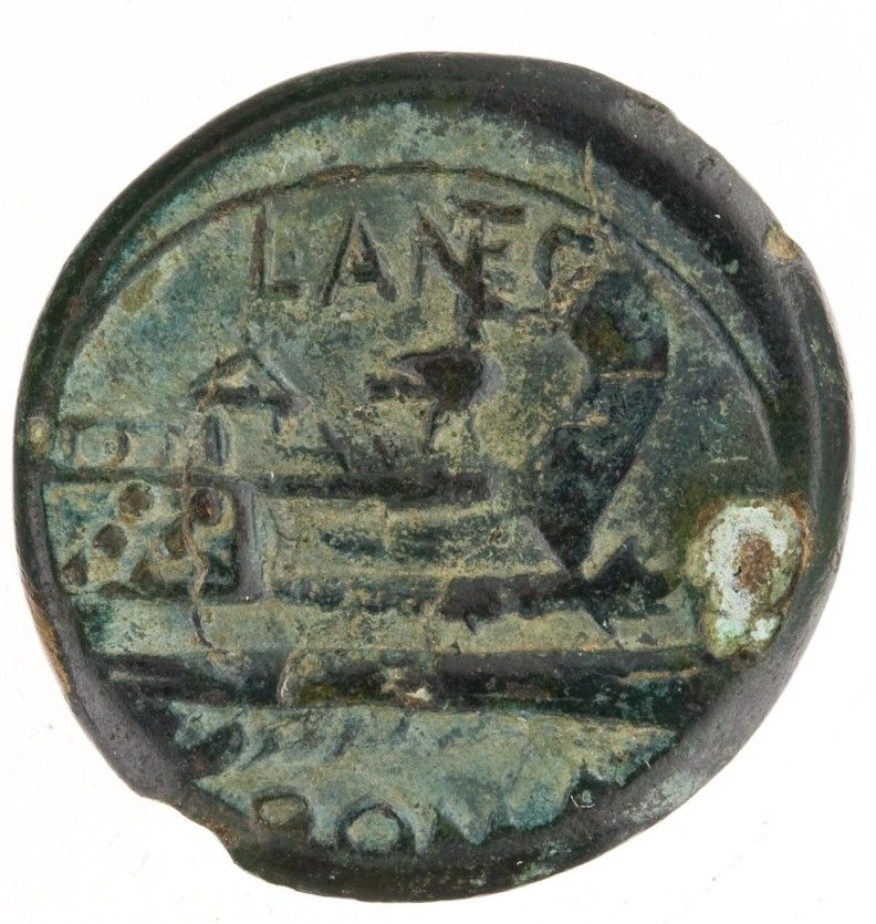 Coin reverse image