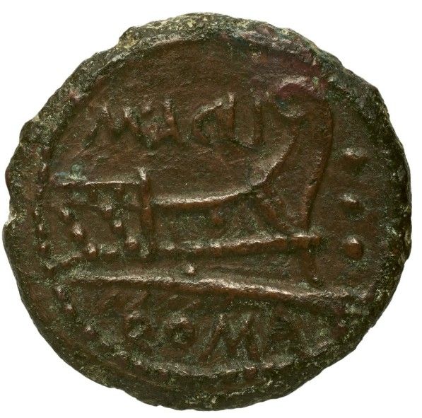 Coin reverse image