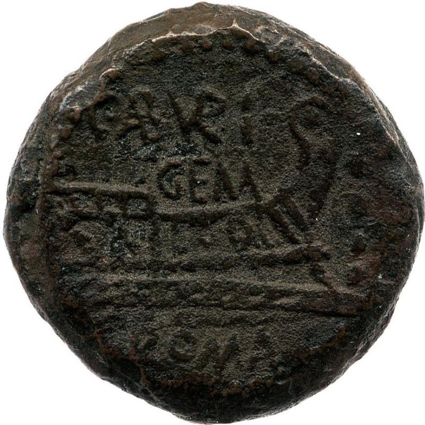 Coin reverse image