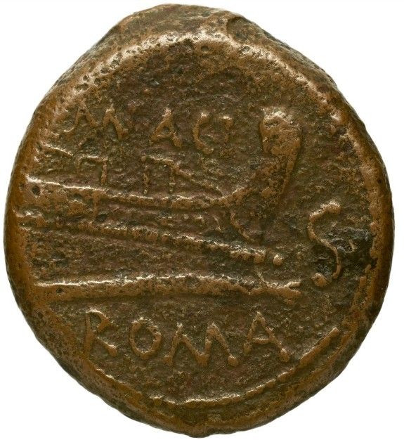 Coin reverse image