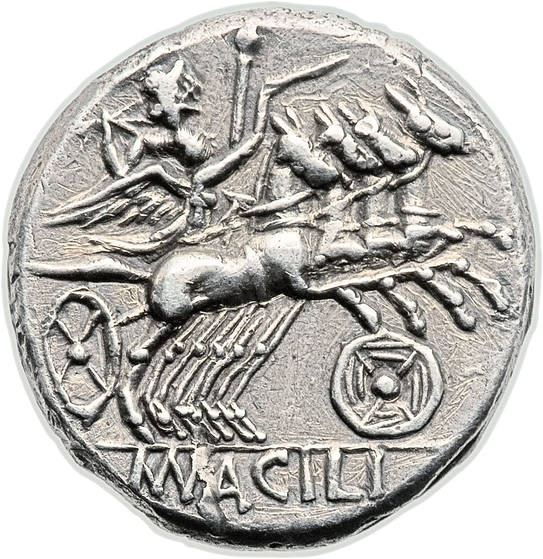 Coin reverse image