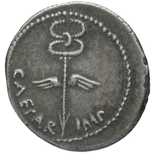 Coin reverse image