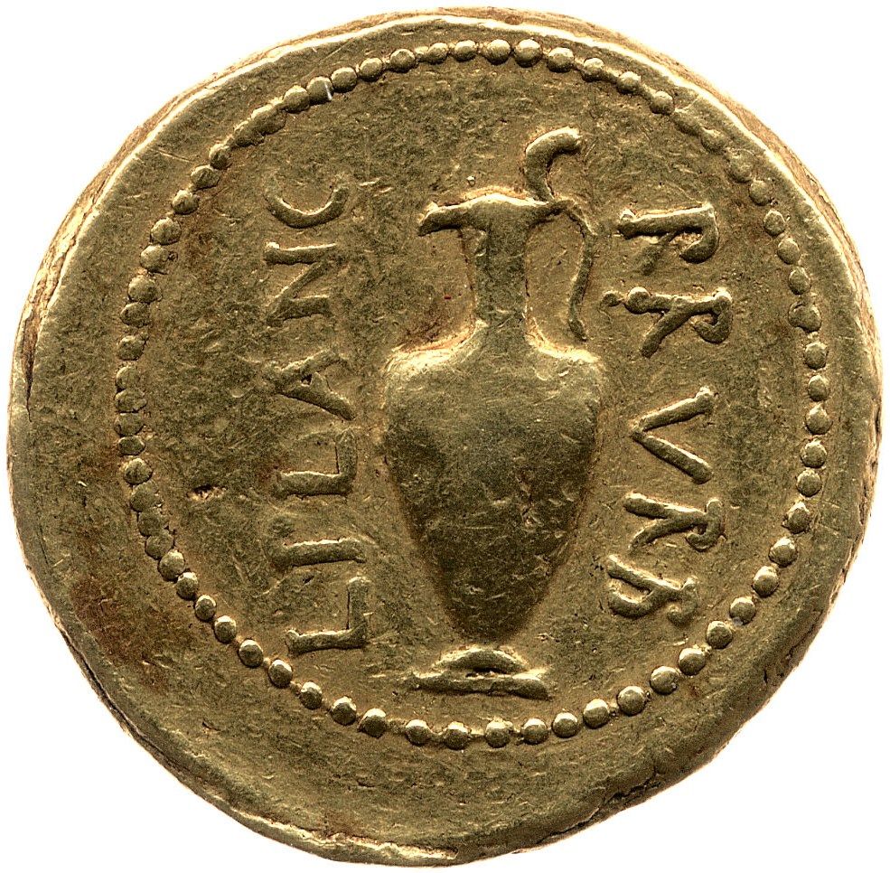 Coin reverse image