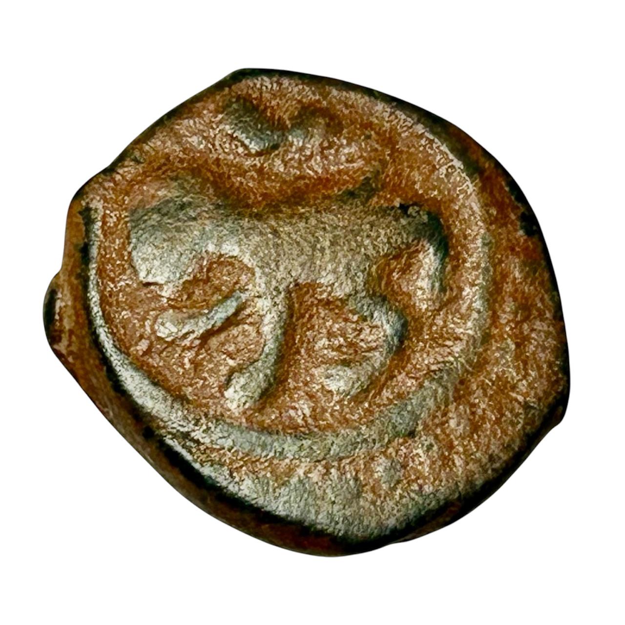 Coin reverse image