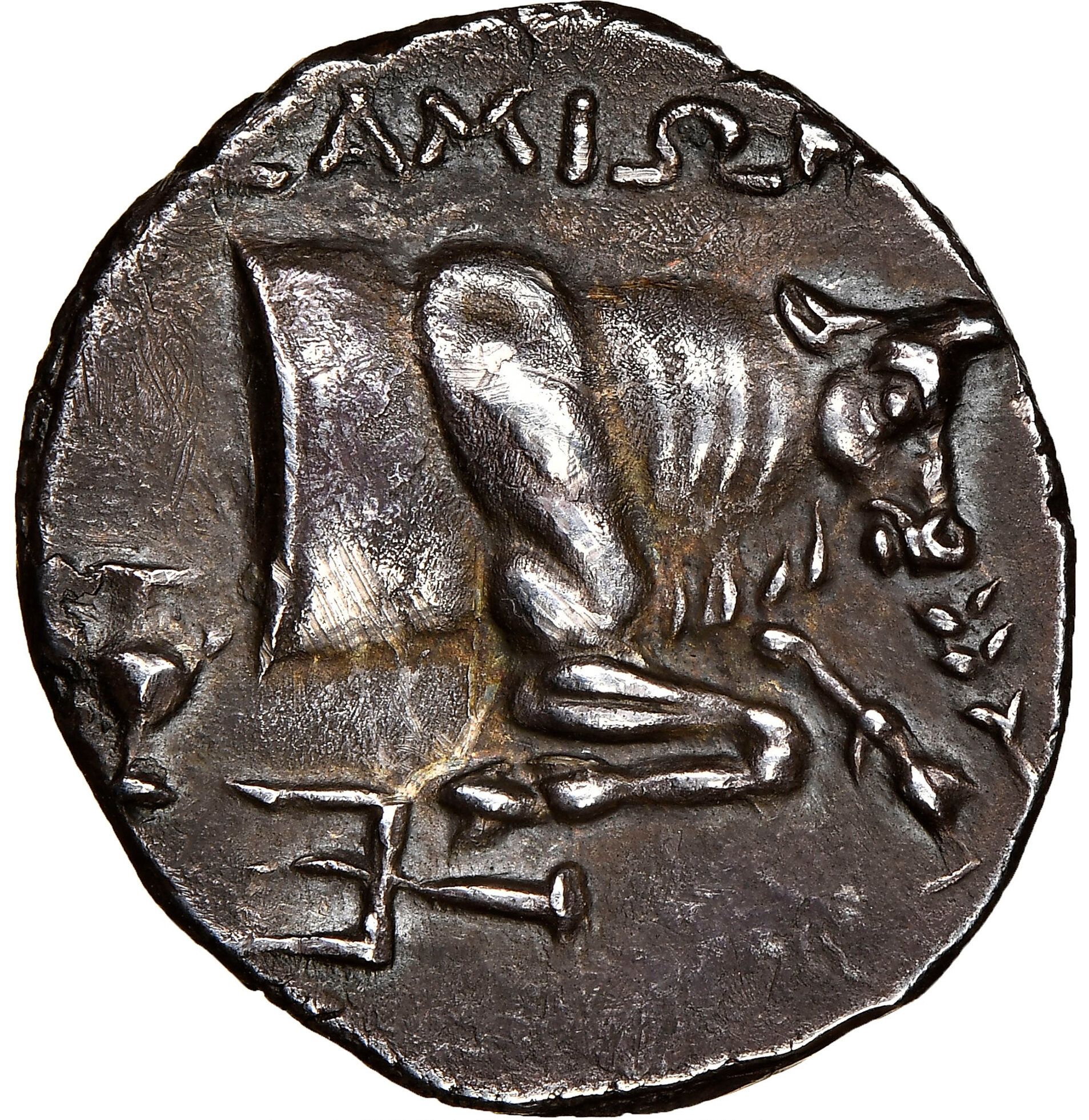 Coin reverse image