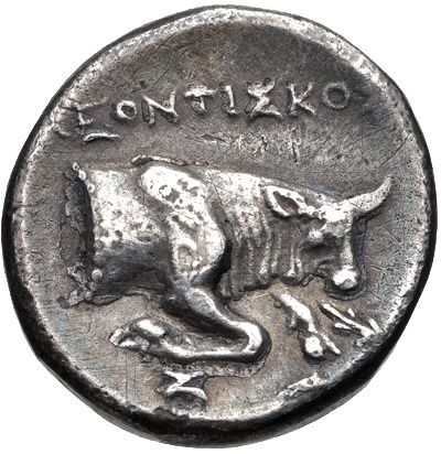 Coin reverse image