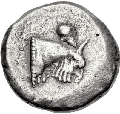Coin reverse image