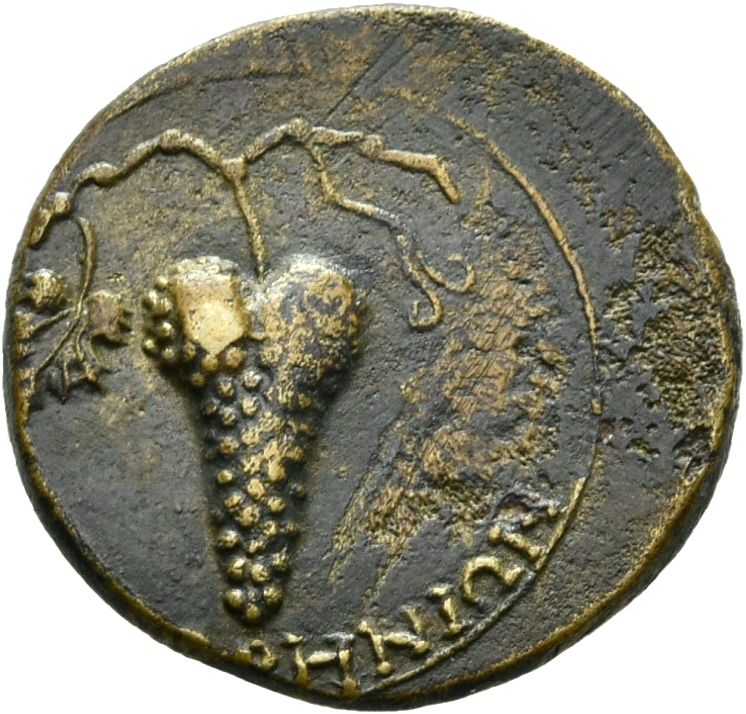 Coin reverse image