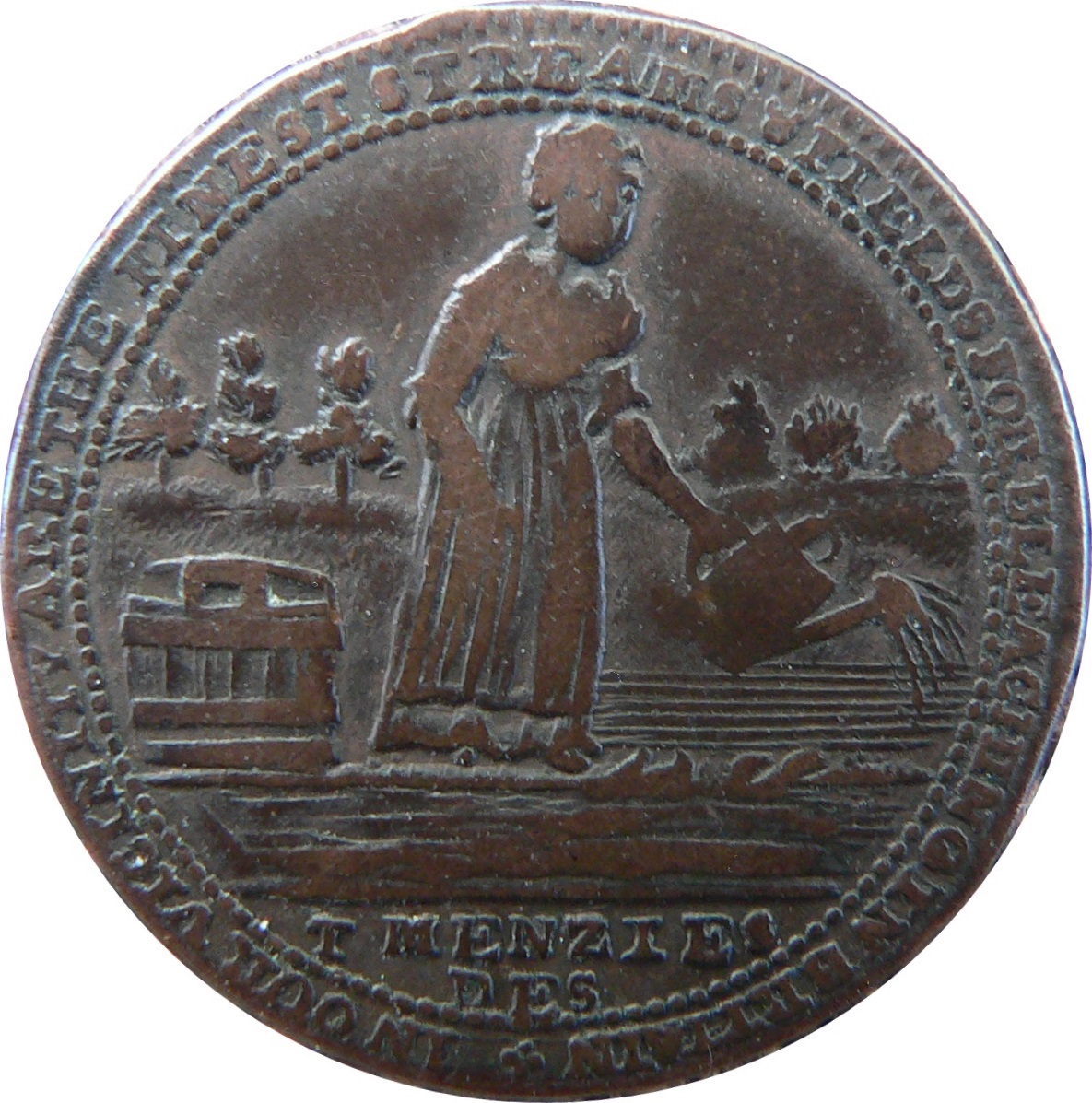 Coin reverse image