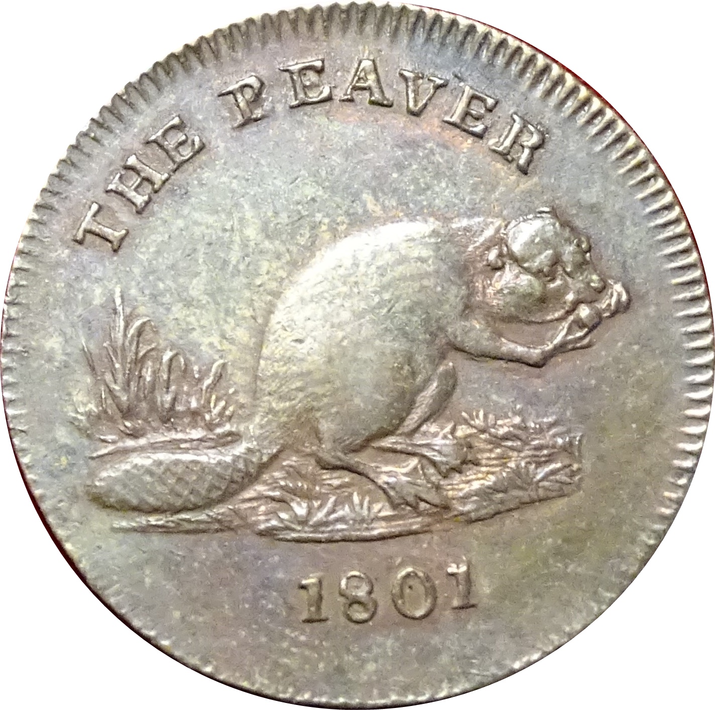 Coin reverse image