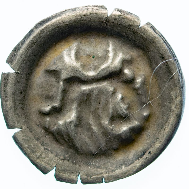 Coin reverse image
