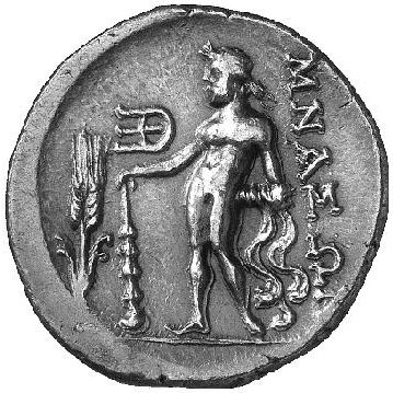 Coin reverse image