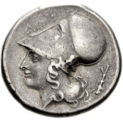 Coin reverse image