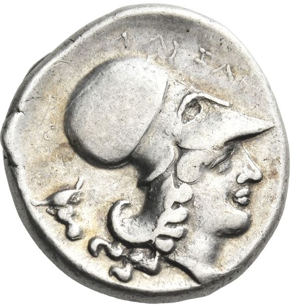 Coin reverse image