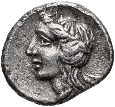 Coin reverse image