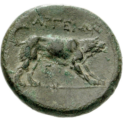 Coin reverse image
