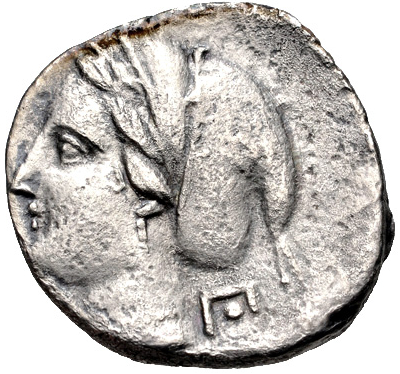 Coin reverse image