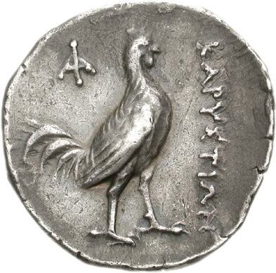 Coin reverse image