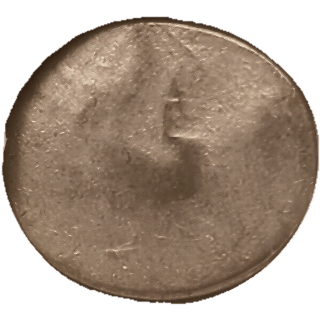 Coin reverse image