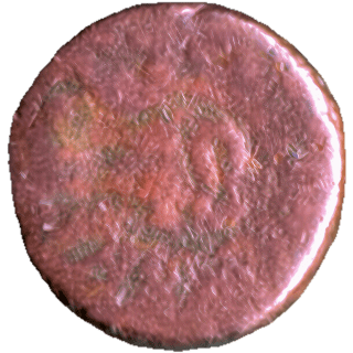 Coin reverse image