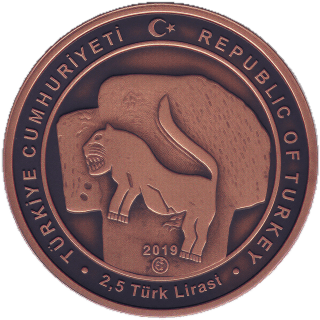 Coin obverse image