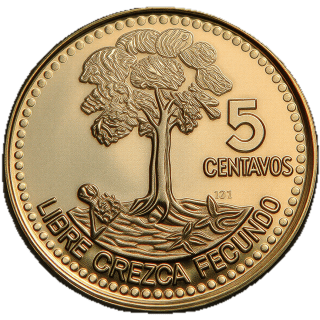 Coin reverse image