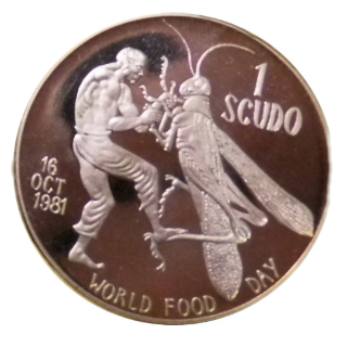 Coin reverse image