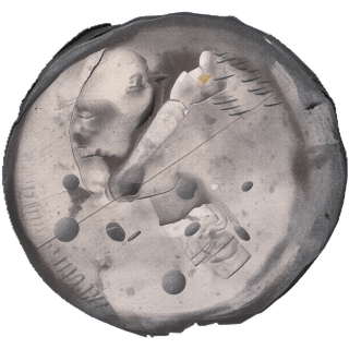 Coin reverse image