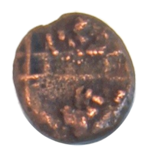 Coin reverse image
